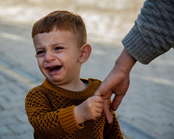 Alienação Parental: Como Reunir Provas e Proteger Seus Filhos